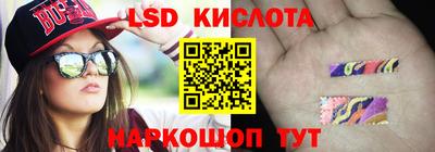 стаф Сланцы