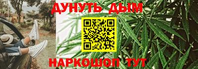 стаф Сланцы