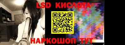 стаф Сланцы